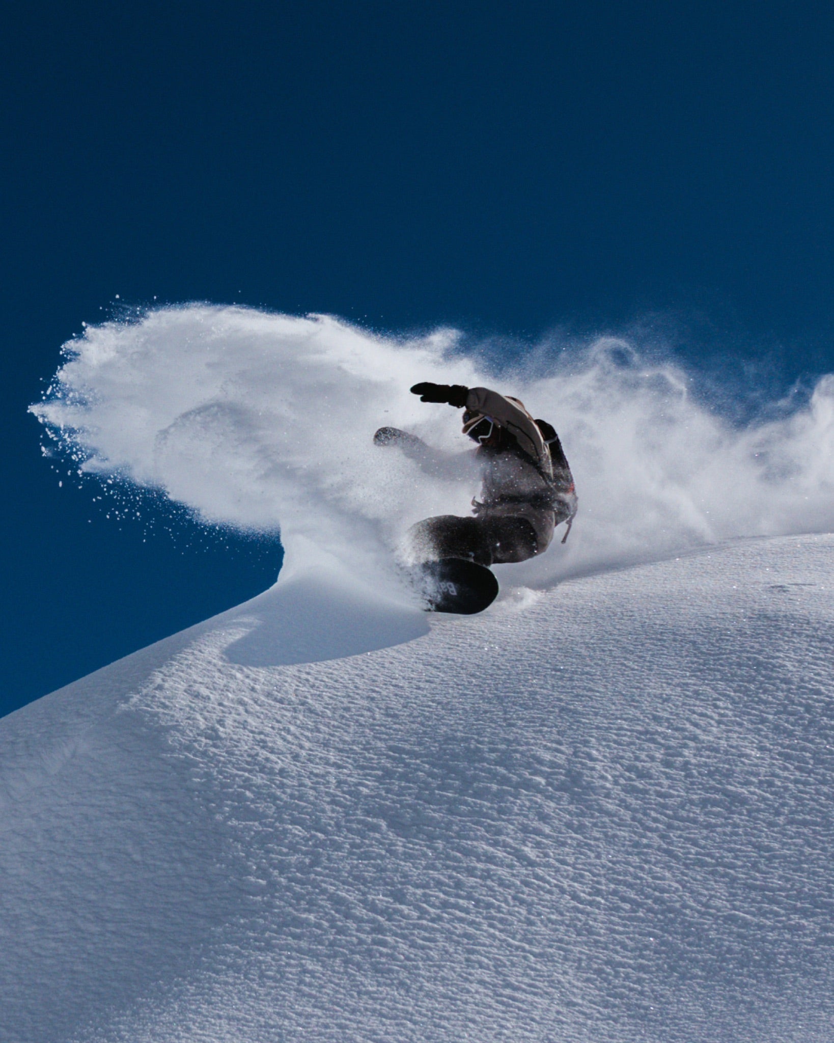Riding Devices : Snowboards - Cameleon Men's Snowboard - Bataleon US
