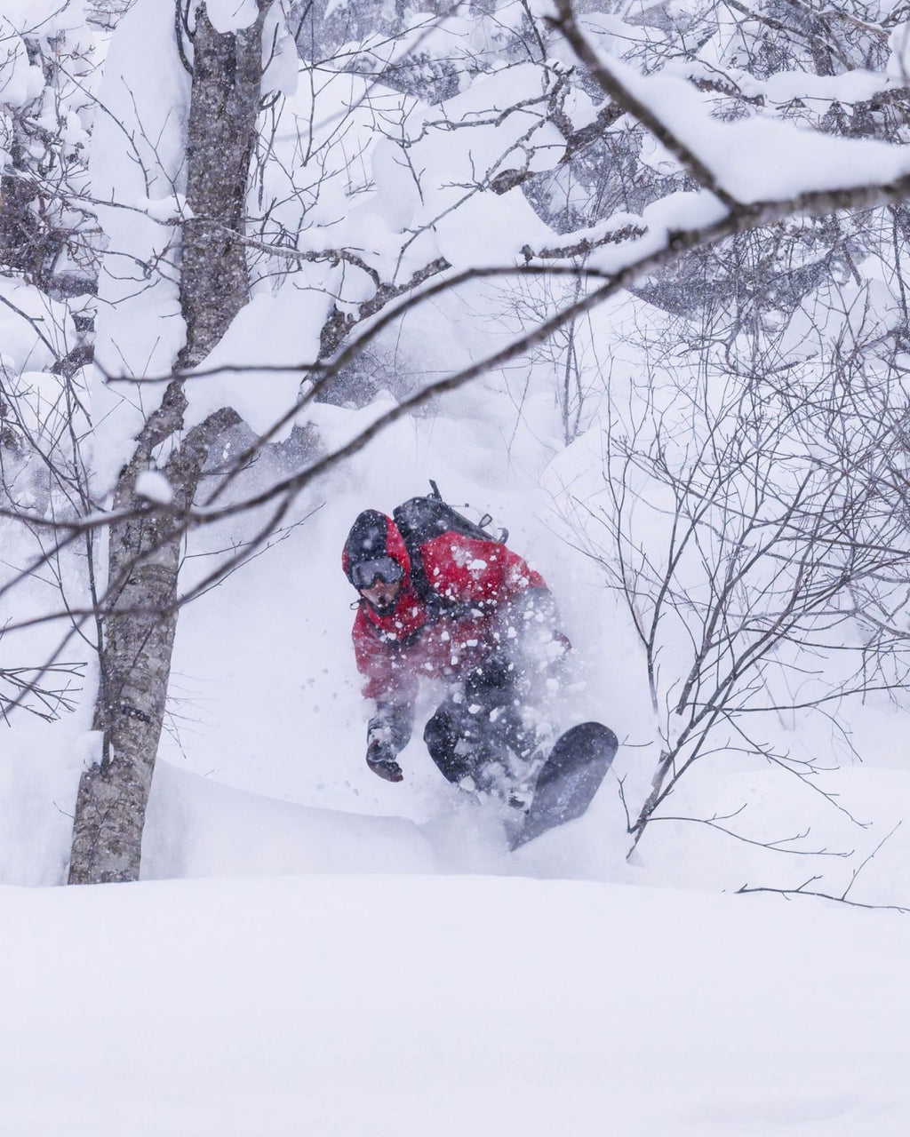 Riding Devices : Snowboards - Men's Thunderstorm - Bataleon US