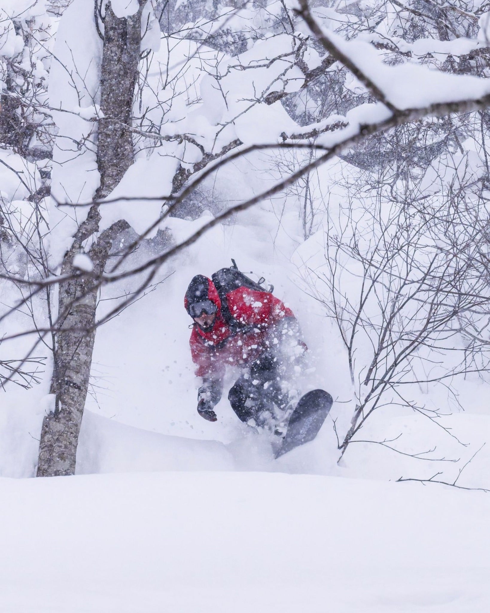 Riding Devices : Snowboards - Men's Thunderstorm - Bataleon US